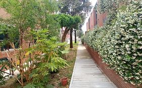 Immersa Nel Verde